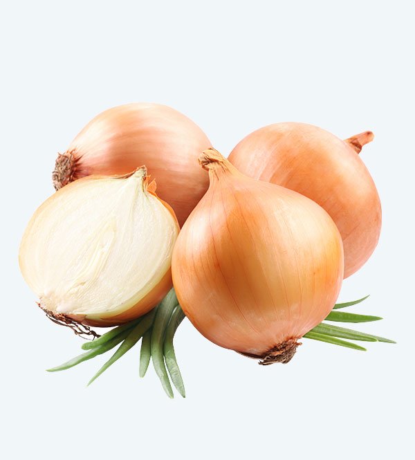 Oignon Blanc 5kg