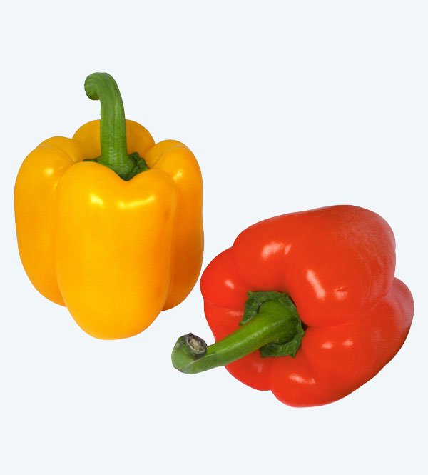 Poivron