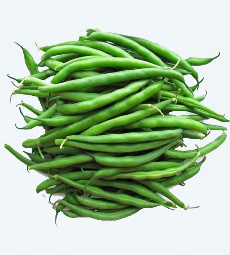 Haricot Vert
