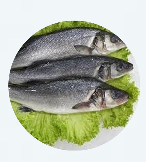 Poisson sosso americain