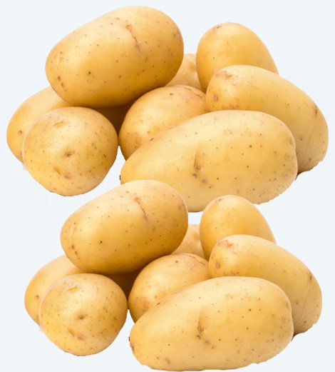 Pomme de terre
