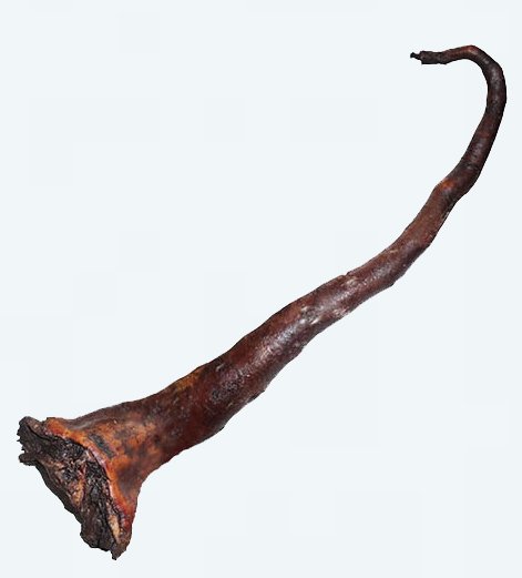Queue de boeuf fumée entier avec peau